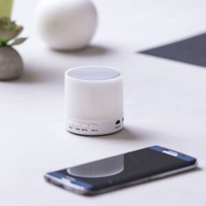 Altavoz Stockel