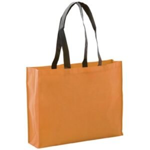 3209-07-1.jpg Bolsa Tucson