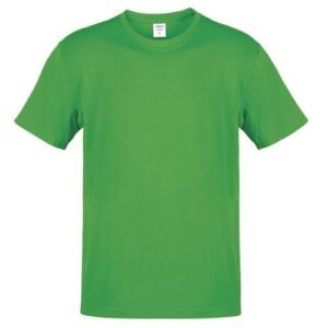 4197-04-1.jpg Camiseta Adulto Color Hecom