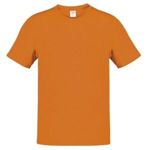 4197-07-1.jpg Camiseta Adulto Color Hecom