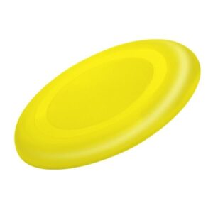 Frisbee Girox