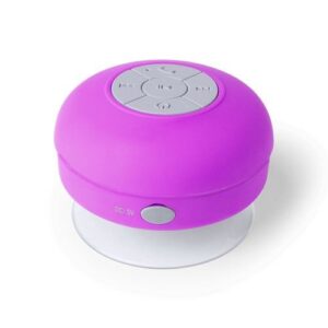 4929-11-1.jpg Altavoz Rariax