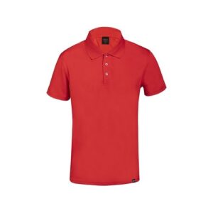 6755-03-1.jpg Polo Dekrom