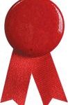 Pin Lazo Solidario