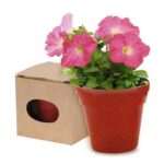 Maceta Advert - Imagen 3