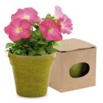 Maceta Advert - Imagen 4