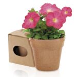 Maceta Advert - Imagen 5