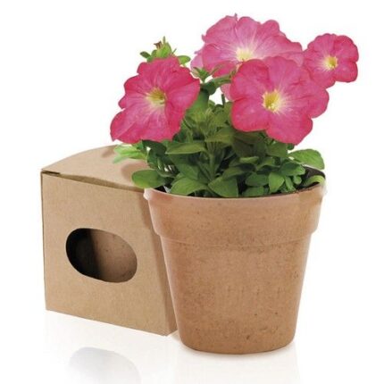 Maceta Advert - Imagen 5