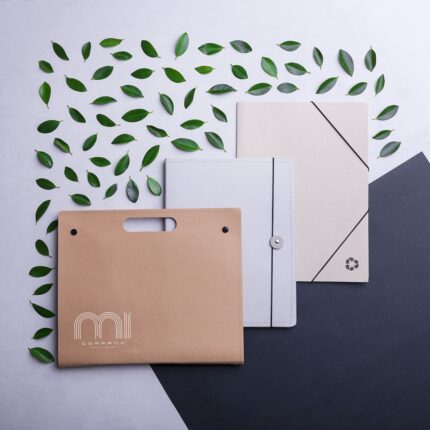 Carpeta Vimaz - Imagen 3