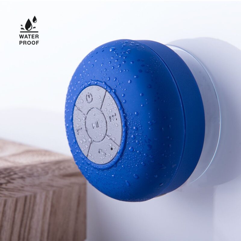 PR2209BI17639_14929_Rariax_SZ2-1.jpg Altavoz Rariax