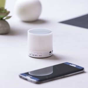 Altavoz Stockel