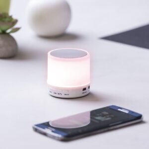 Altavoz Stockel