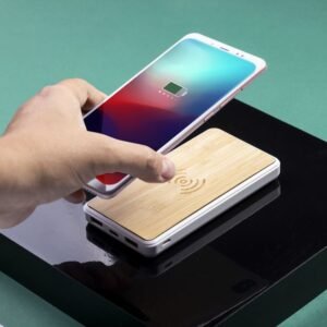 Power Bank Dickens