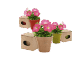 Maceta Advert - Imagen 2