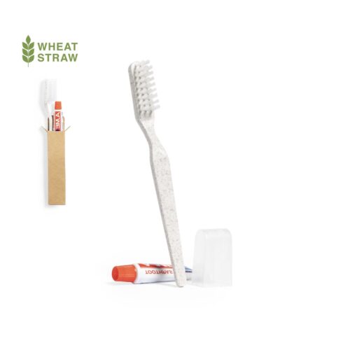 Set Dental Kit