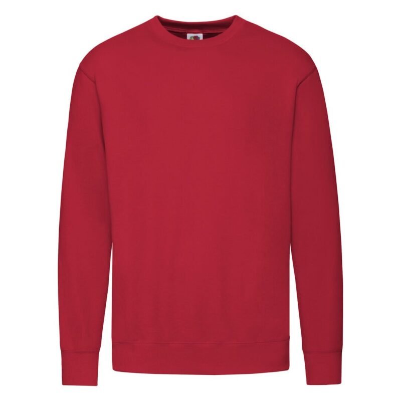 Sudadera Adulto Lightweight Set-In S