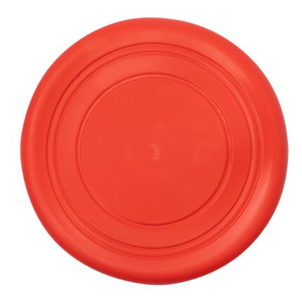 Frisbee Girud - Imagen 3