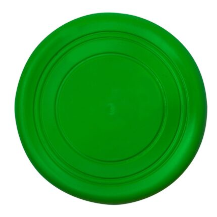 Frisbee Girud - Imagen 4