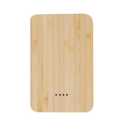 Power Bank Newin