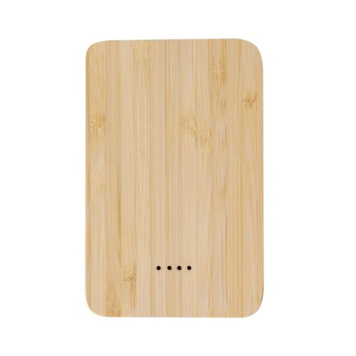 Power Bank Newin