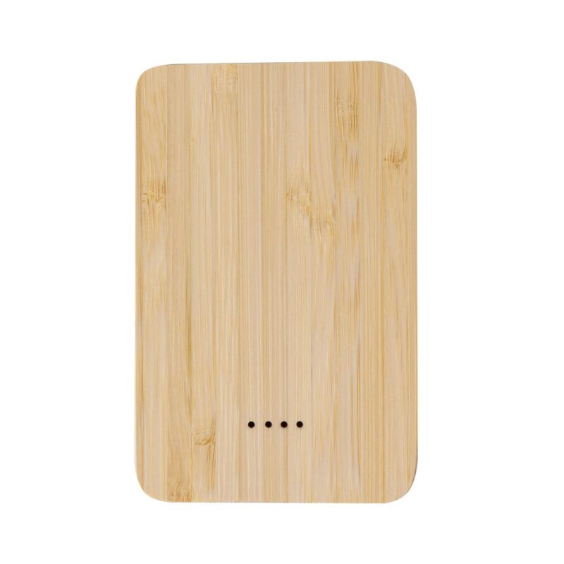 Power Bank Newin
