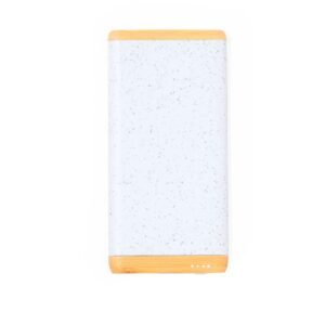 Power Bank Coquin