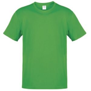 4197-004-P.jpg Camiseta Adulto Color Hecom
