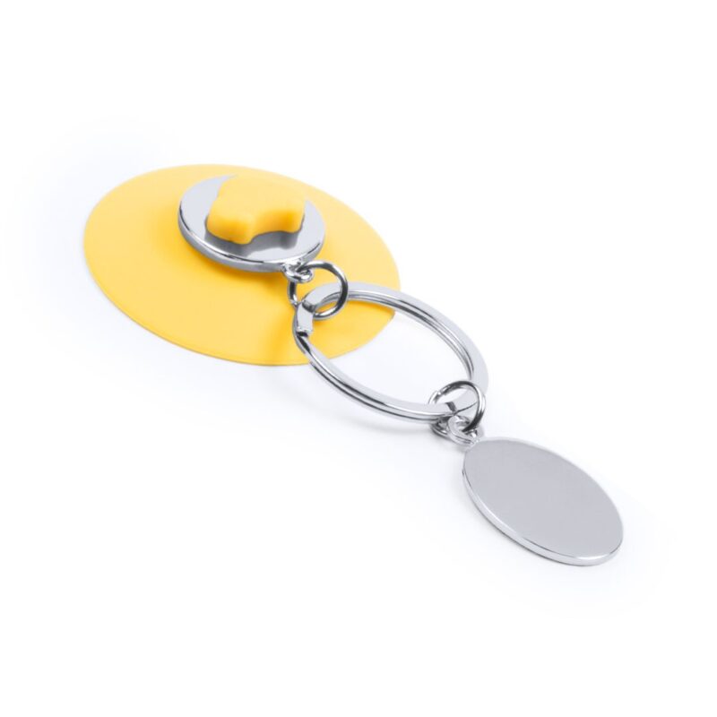 4704-005-P.jpg Llavero Moneda Coltax