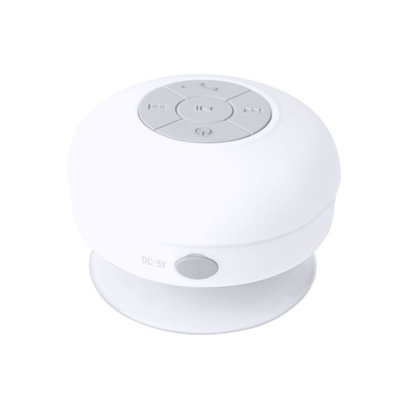 4929-001-P.jpg Altavoz Rariax