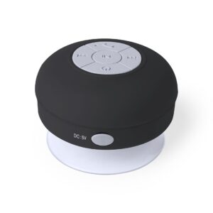 4929-002-P.jpg Altavoz Rariax