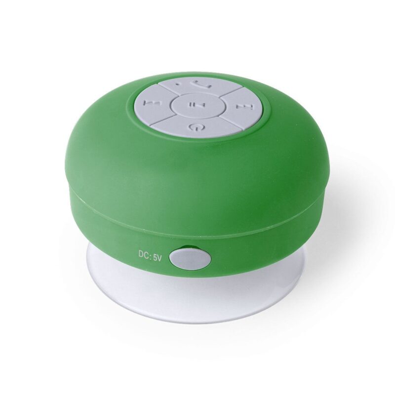 4929-004-P.jpg Altavoz Rariax
