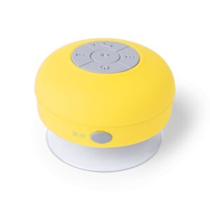 4929-005-P.jpg Altavoz Rariax