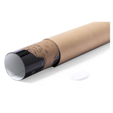 Mapa Palsy - Imagen 3