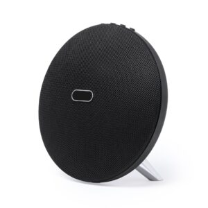 7344-002-P.jpg Altavoz Holsux