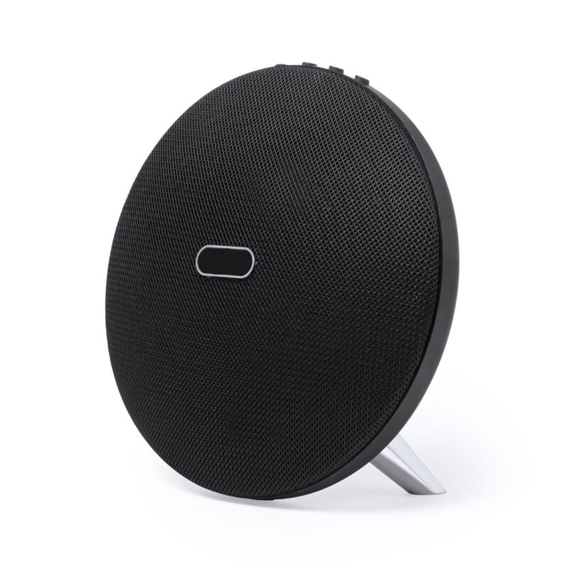 7344-002-P.jpg Altavoz Holsux