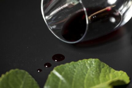 Set Vinos Bribal - Imagen 14